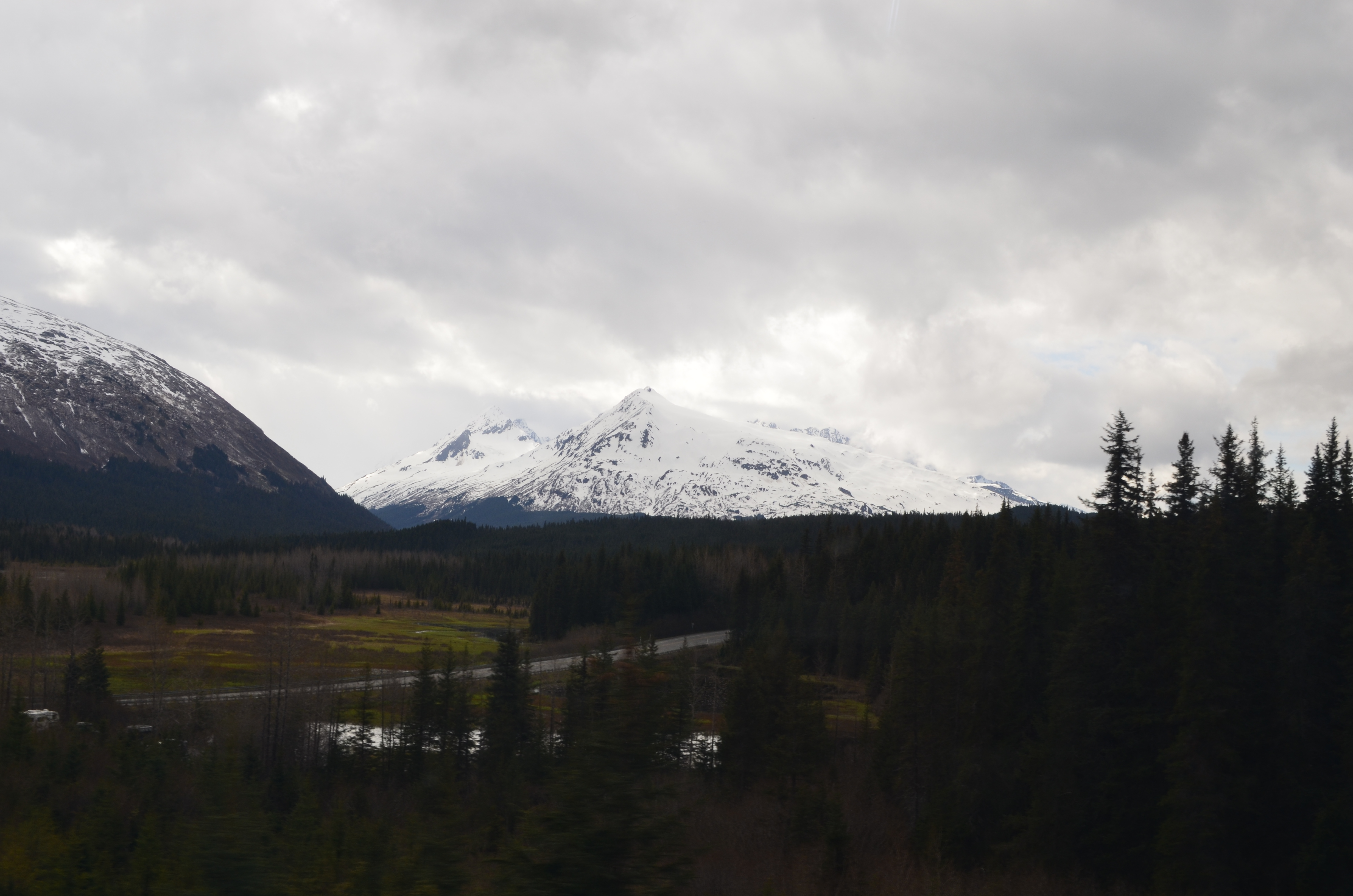 ./2017/08 - Alaska Cruise/05 - Train to Seward/DSC_0586.JPG